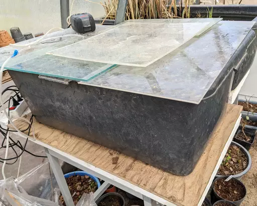 improvised rooting chamber made from a mixing vat