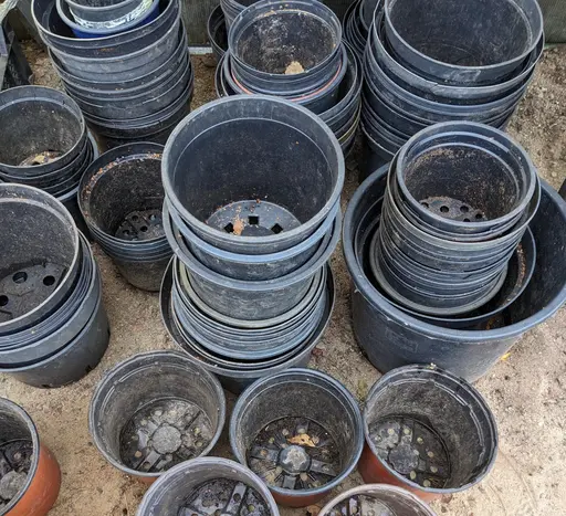 Hoarded plastic nursery pots.