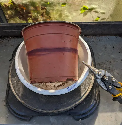 terracota-colored plastic nursery pot, marked around with a black marker at desired height for cutting