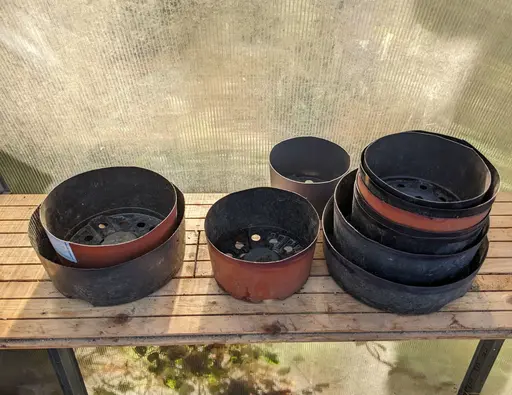 Using different sizes of pots, and cutting to different heights gives a variety of training pots.